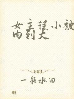 女主从小被用药肉到大