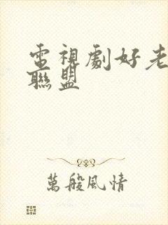 电视剧好老婆大联盟