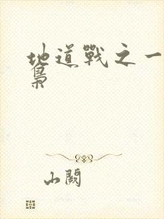 地道战之一代功枭