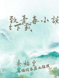 致青春小说txt下载