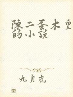 陈二蛋木皇真经的小说