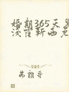 婚期365天慕浅霍靳西免费阅读