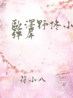 欧泽野佟小曼无弹屏