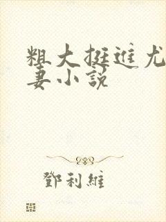 粗大挺进尤物娇妻小说