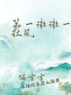 第一微微一笑很拉风