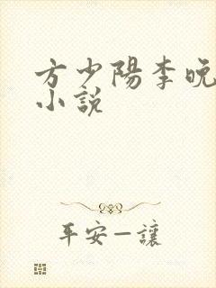 方少阳李晚晴的小说