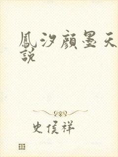 凤汐颜墨天问小说