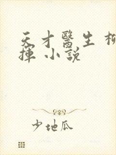 天才医生 柳下挥 小说