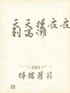 天天摸夜夜摸摸到高潮