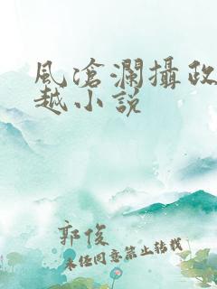 风沧澜摄政王穿越小说