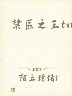 禁区之王txt