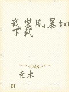 武装风暴txt下载