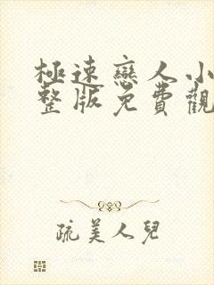 极速恋人小说完整版免费观看