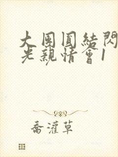 大团圆结闪闪发光亲情会1