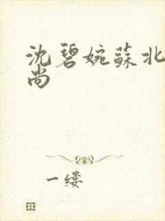 沈碧婉苏北宸和尚