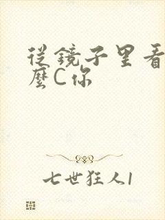 从镜子里看我怎么C你