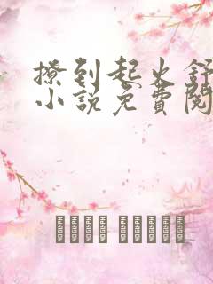 撩到起火舒漾的小说免费阅读全文