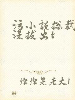 污小说总裁整夜没拔出t