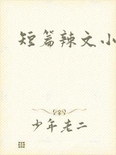 短篇辣文小说