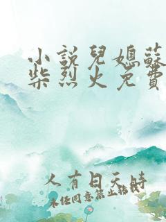 小说儿媳苏玥干柴烈火免费阅读