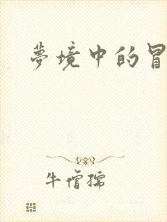 梦境中的冒险家