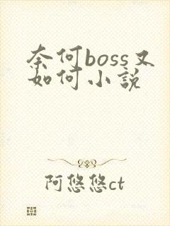 奈何boss又如何小说