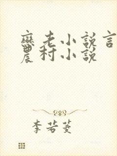 恋老小说言情网农村小说