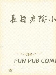 长日光阴小说