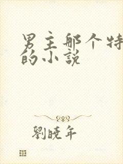 男主那个特别大的小说