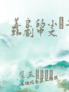 善良的小峓子2韩剧中文