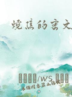 烧焦的密文