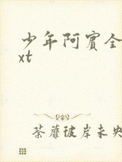 少年阿宾全集txt