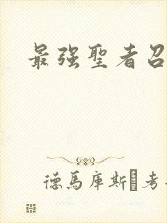最强圣者召唤