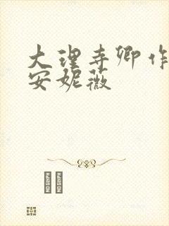 大理寺卿作者:安妮薇