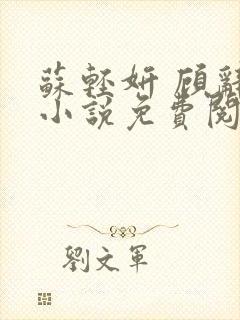 苏轻妍 顾辞笙小说免费阅读