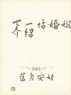 下一站婚姻剧情介绍