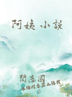 阿姨 小说