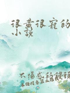 很黄很宠的总裁小说