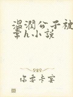 温润公子被脔日常h小说