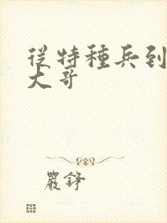 从特种兵到黑道大哥