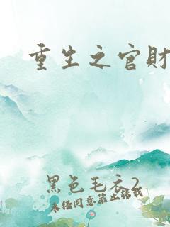 重生之官财人生