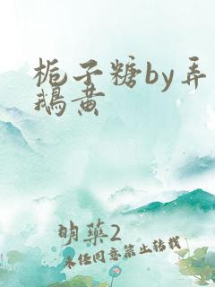 栀子糖by弄白鹅黄