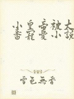 小皇帝被大臣轮番宠爱小说