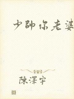 少帅你老婆
