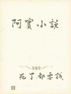 阿宾小说