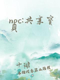 npc:共享宝贝