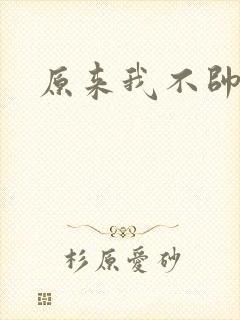 原来我不帅小说