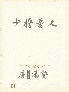 少将爱人