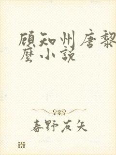 顾知州唐黎叫什么小说