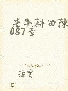 老牛耕田陈雪1087章